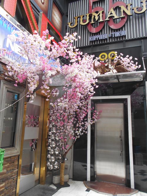 六本木ジュマンジの桜のディスプレイ
