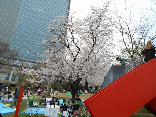 東京ミッドタウン今日の桜4月3日2016年3