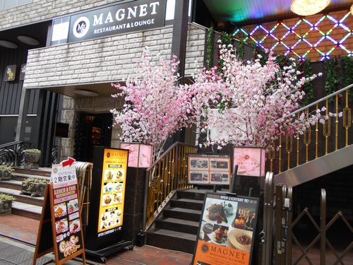 六本木 フレンチMAGNETの桜のディスプレイ 2016年春1