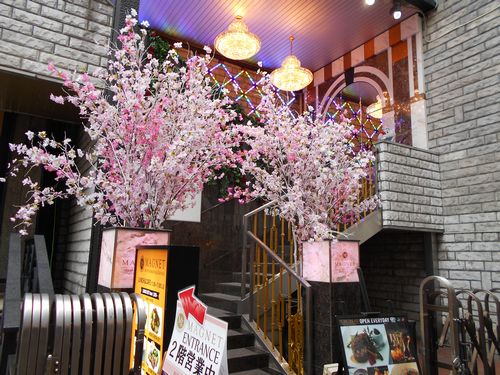 六本木 フレンチMAGNETの桜のディスプレイ 2016年春2
