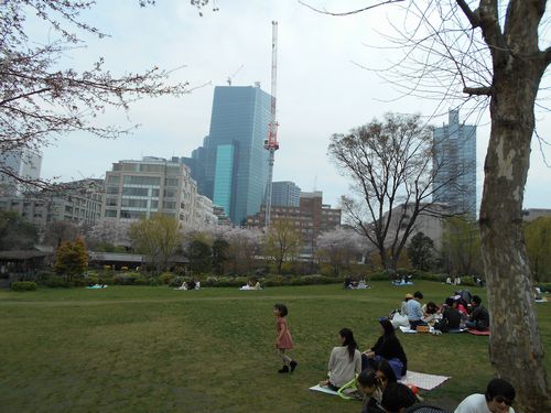 東京ミッドタウン今日の桜4月3日2016年4