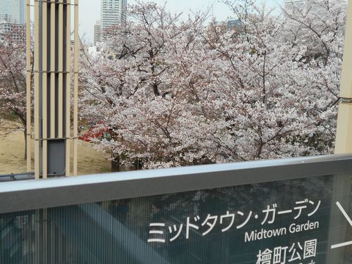 東京ミッドタウン桜、3月31日2016年-6