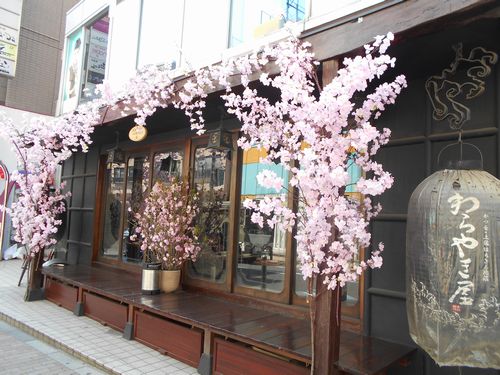 わらやき屋六本木店桜ディスプレイ1